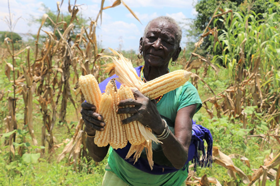 FAO and OPM empowering the Karamoja District Local Governments to manage and respond to food security shocks